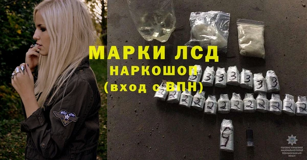 mdpv Гусев